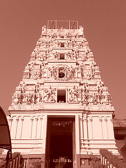 Information about story on the popular Lord Veera Venkata Sri Satyanarayana Swamy Grand   Kalyanam Today (21-05-2013)